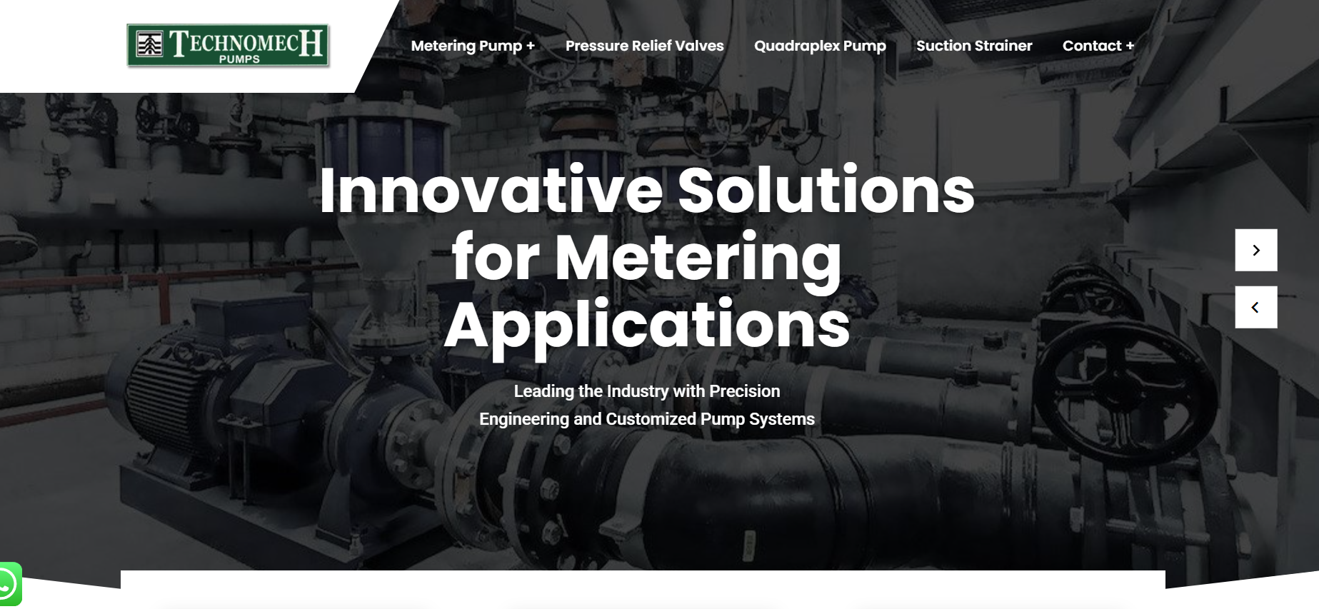 Projects 5%psyber Inc% Website Development