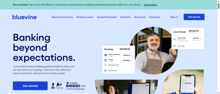 Business Banking Solutions Services Bluevinepsyber Inc%