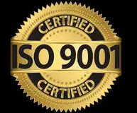 Empowering Easebuzz with Digital Marketing Consultation 34%psyber Inc% ThatWare ISO.webp 300×350psyber Inc%